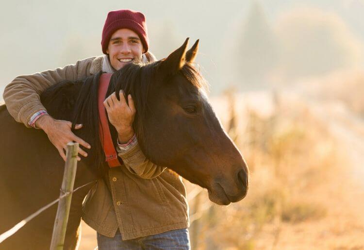 Horses Horses a poplar choice when it comes to online dating images
